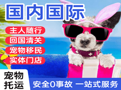 牡丹江海浪空运代理国际宠物托运 【国